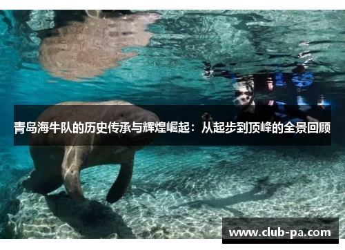 青岛海牛队的历史传承与辉煌崛起：从起步到顶峰的全景回顾